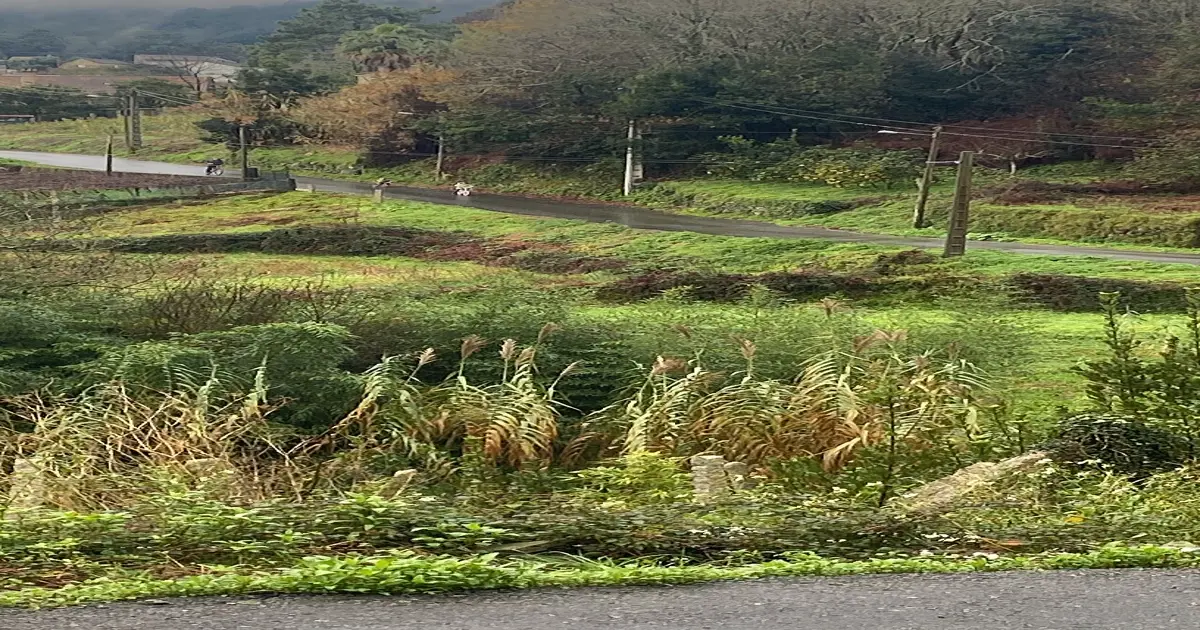 Galicia: la comunidad que más apuesta por atraer nuevos vecinos